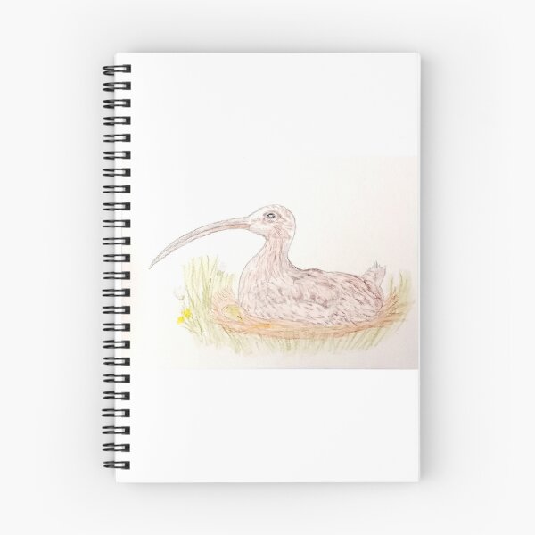 Item preview, Curlew in nest  designed and sold by Samantha Glynn.