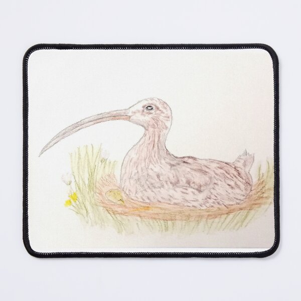 Item preview, Curlew in nest  designed and sold by Samantha Glynn.