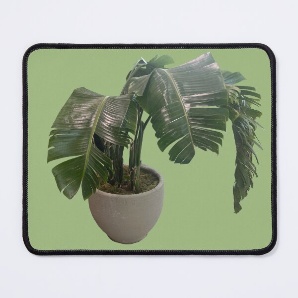 Item preview, Potted Plant designed and sold by redhead-autumn.