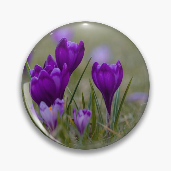 Item preview, Crocuses designed and sold by groundfloors.