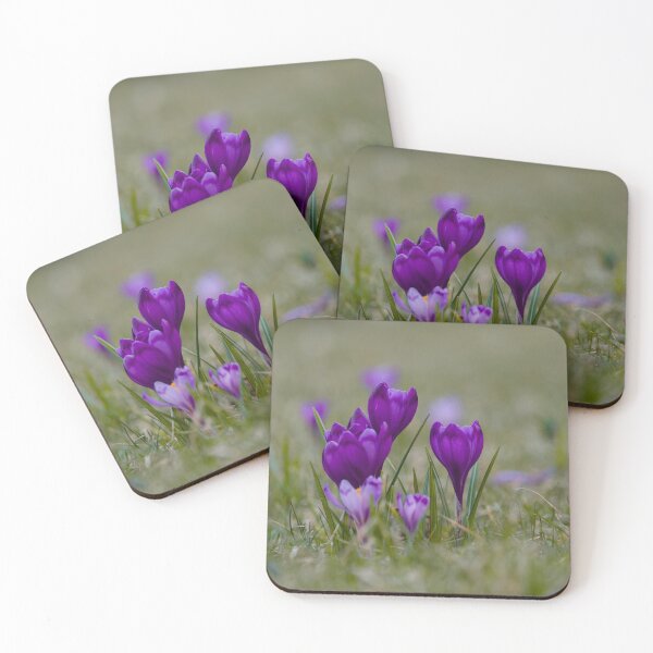 Item preview, Crocuses designed and sold by groundfloors.