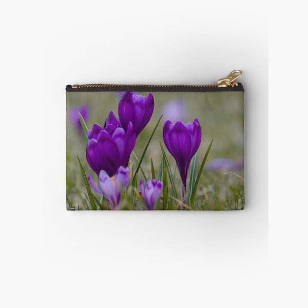 Item preview, Crocuses designed and sold by groundfloors.