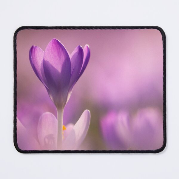 Item preview, Crocus designed and sold by groundfloors.