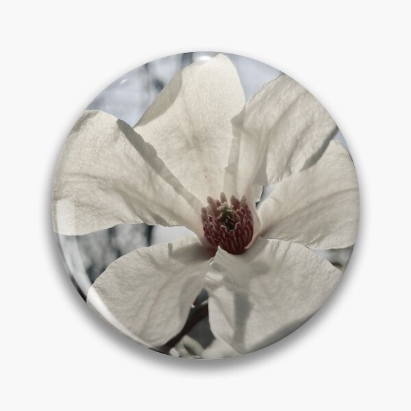Item preview, flowering magnolia designed and sold by photographic contemplations.