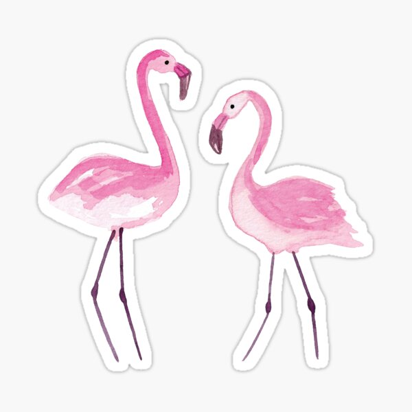 Watercolour Flamingos, Watercolor Flamingos Sticker