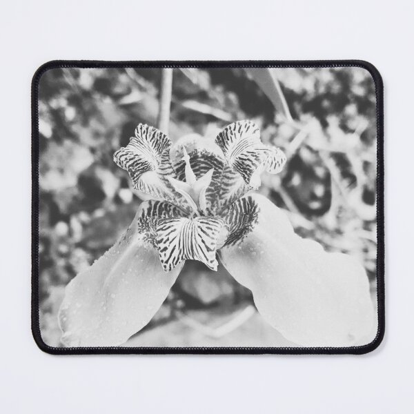 Item preview, Iris in Black and White designed and sold by CaliGirlTreasur.