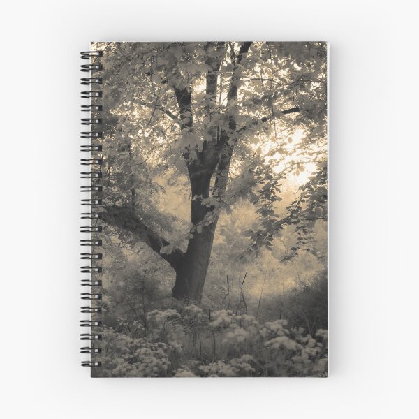 Item preview, Seasons New Beginning designed and sold by Christine Lake.