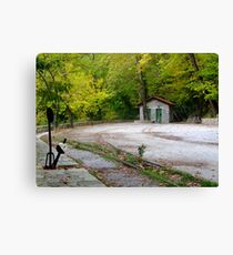 Old railway Canvas Print