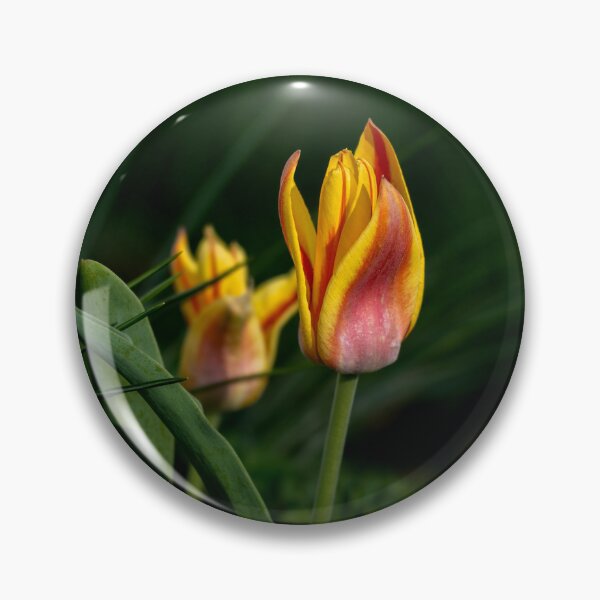Item preview, The Slow Fire - Red Yellow Tulip Pair Photography designed and sold by Susarellis.