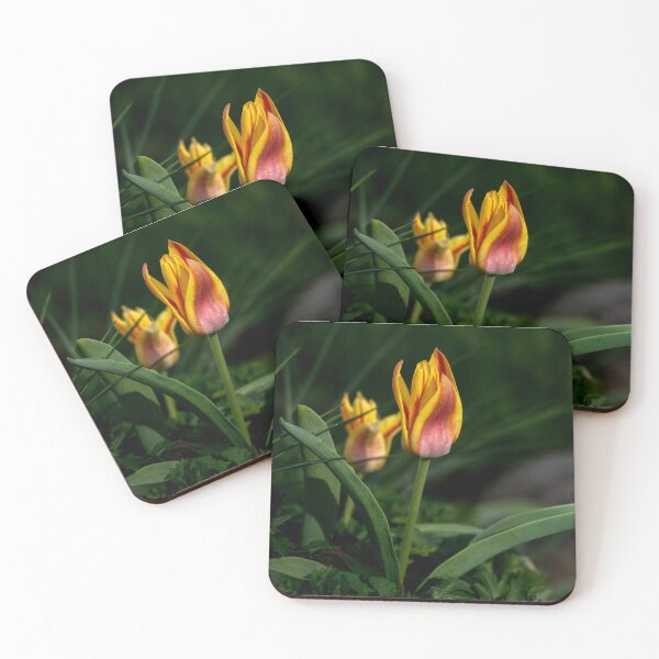 Item preview, The Slow Fire - Red Yellow Tulip Pair Photography designed and sold by Susarellis.