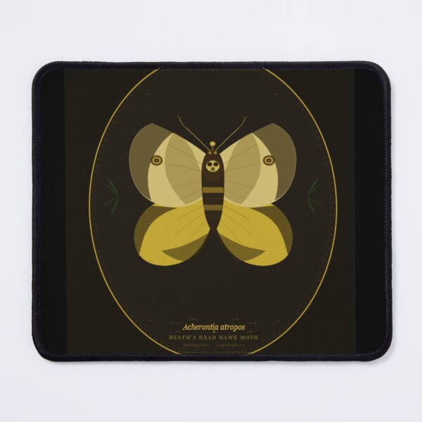 Item preview, Death's Head Hawk Moth Victorian Specimen Art designed and sold by Kupeliemre.