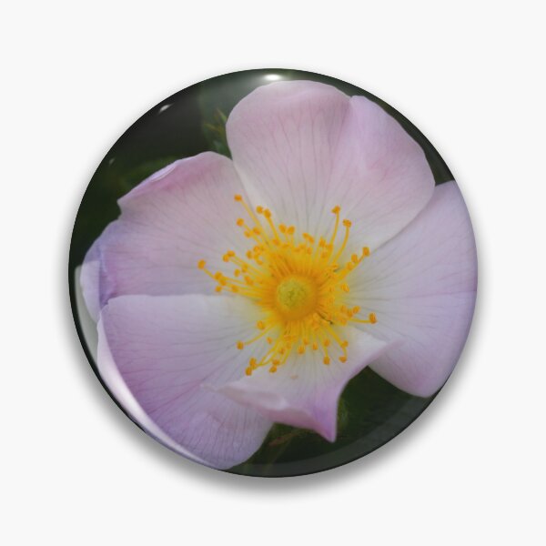 Item preview, Soft Bloom in Shadow designed and sold by SilentBloomLab.