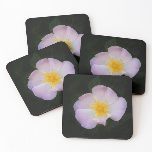 Item preview, Soft Bloom in Shadow designed and sold by SilentBloomLab.