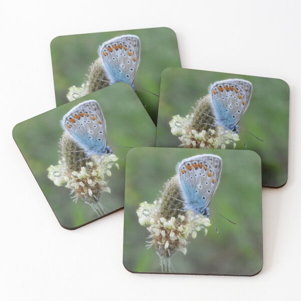 Item preview, Quiet Butterfly Moment designed and sold by SilentBloomLab.