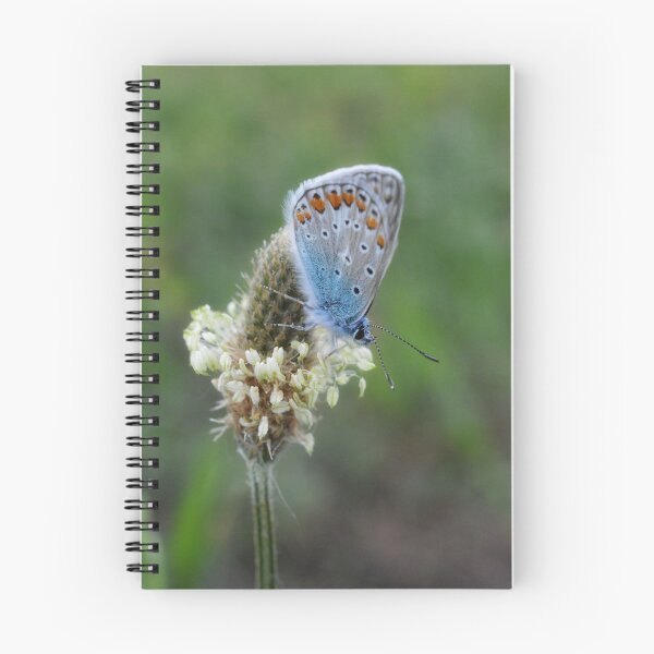 Item preview, Momento de mariposa tranquila designed and sold by SilentBloomLab.