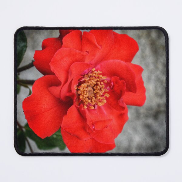 Item preview, Crimson Rose Shadow designed and sold by SilentBloomLab.