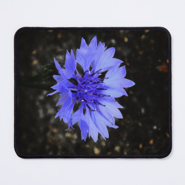 Item preview, Blue Bloom in Darkness designed and sold by SilentBloomLab.