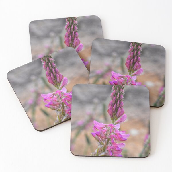 Aperçu de l'œuvre Wild Pink Bloom créée et vendue par SilentBloomLab.