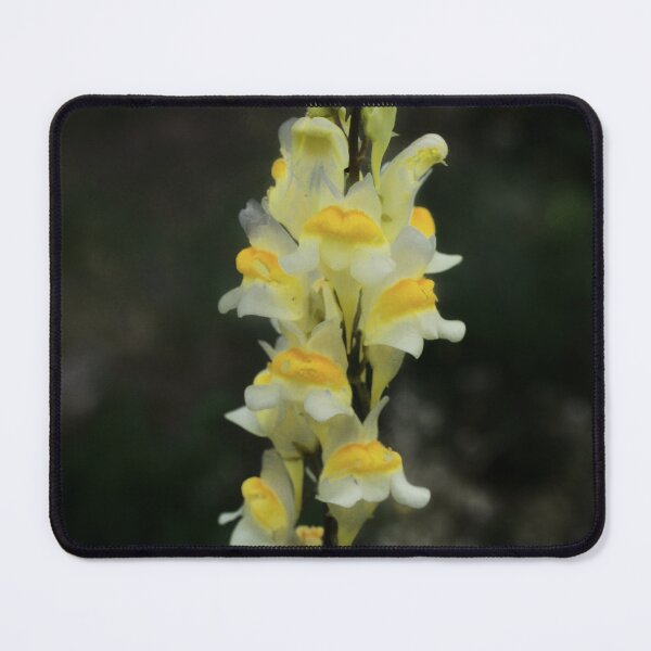Item preview, Golden Snapdragon in the Dark designed and sold by SilentBloomLab.