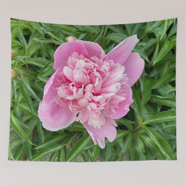Item preview, Peony Pleasures  designed and sold by Abeink1030.