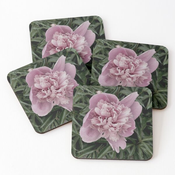 Item preview, Peony Pleasures 2 designed and sold by Abeink1030.