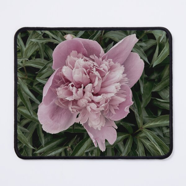 Item preview, Peony Pleasures 2 designed and sold by Abeink1030.