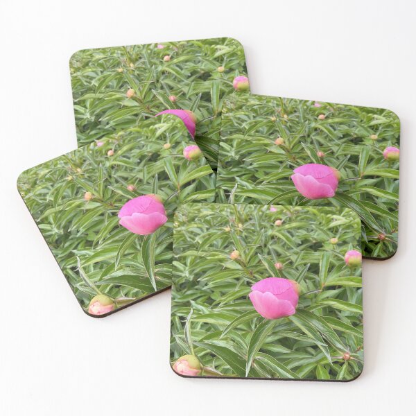 Item preview, Peony Pleasures 3 designed and sold by Abeink1030.