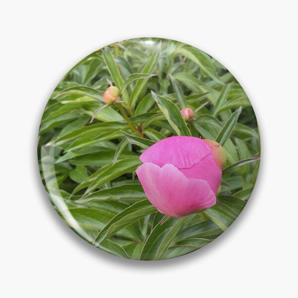 Item preview, Peony Pleasures 3 designed and sold by Abeink1030.