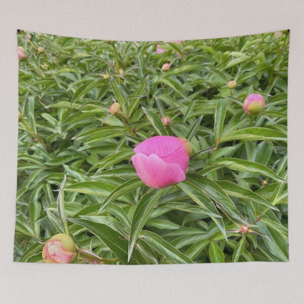 Item preview, Peony Pleasures 3 designed and sold by Abeink1030.