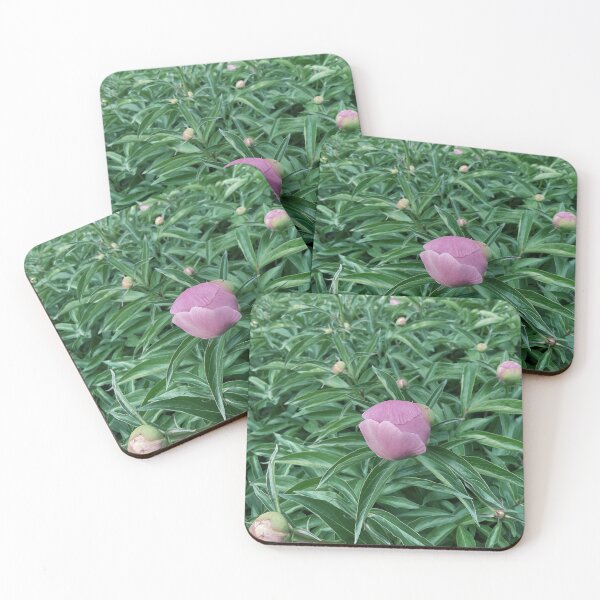 Item preview, Peony Pleasures 4 designed and sold by Abeink1030.