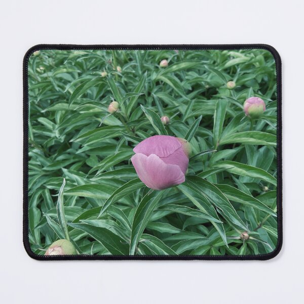 Item preview, Peony Pleasures 4 designed and sold by Abeink1030.