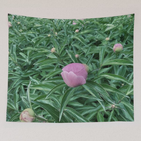 Item preview, Peony Pleasures 4 designed and sold by Abeink1030.