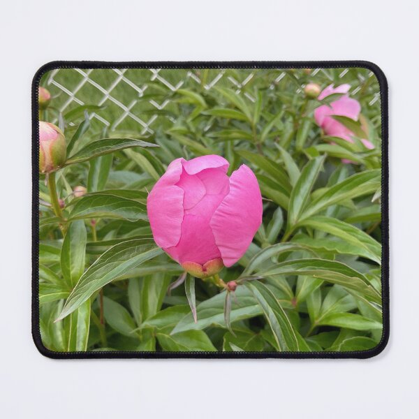 Item preview, Peony Pleasures 5 designed and sold by Abeink1030.