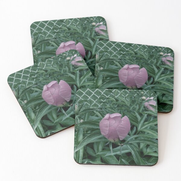 Item preview, Peony Pleasures 6 designed and sold by Abeink1030.