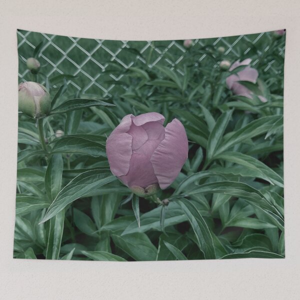 Item preview, Peony Pleasures 6 designed and sold by Abeink1030.