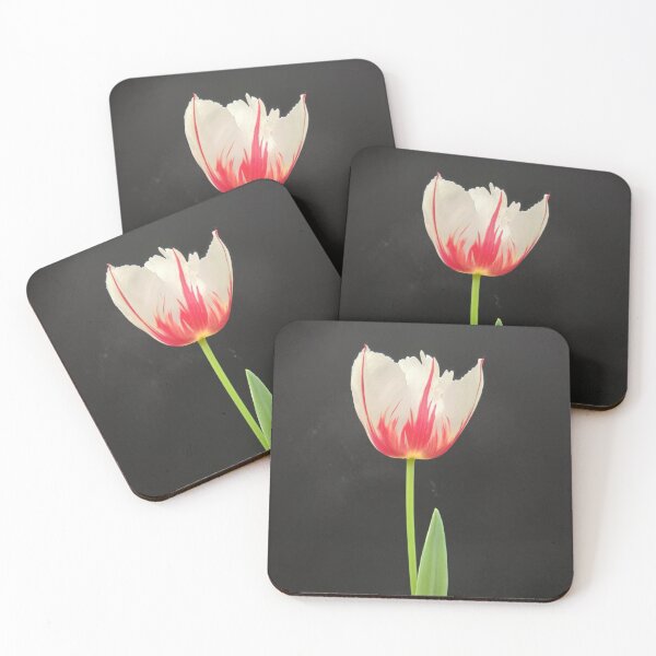 Aperçu de l'œuvre Flame Tulip créée et vendue par SilentBloomLab.