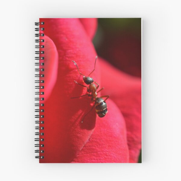 Item preview, Crimson Petal Journey designed and sold by SilentBloomLab.
