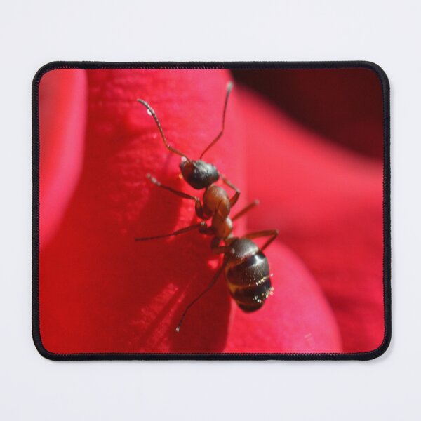 Item preview, Crimson Petal Journey designed and sold by SilentBloomLab.