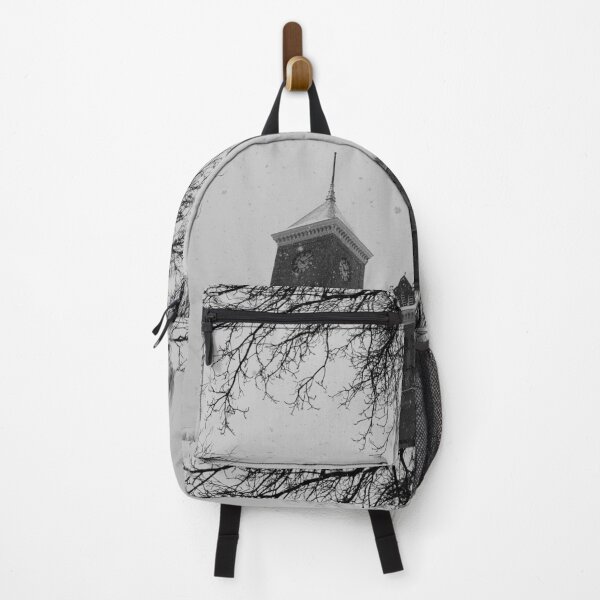Item preview, Coconino County Courthouse with Snowfall by ElitebyElise designed and sold by ElitebyElise.