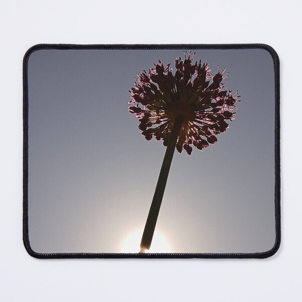 Item preview, Solar Bloom Silhouette designed and sold by SilentBloomLab.