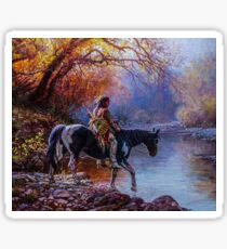 663 native american Sticker