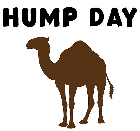 Hump Day Camel Funny Humor Office Work Life Poster by.