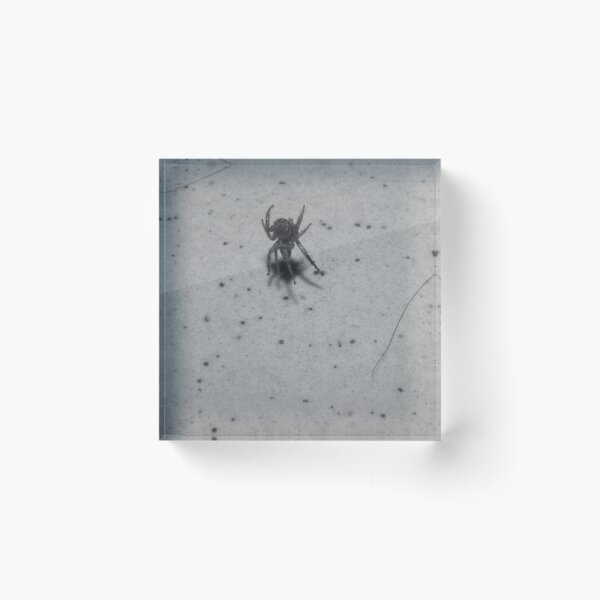 Item preview, A Spider Jumping designed and sold by ROSE ANN BANILAR.