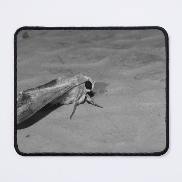 Item preview, Owlet Moth designed and sold by ROSE ANN BANILAR.