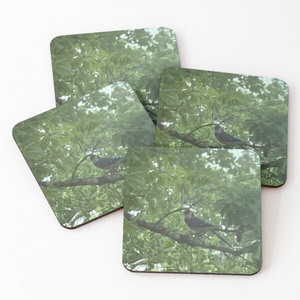 Item preview, Vibrant Blue Jay Among Branches. designed and sold by Pearls1.