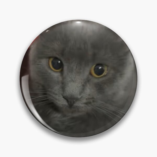 Item preview, Ezra Kitty designed and sold by JasonCringe.