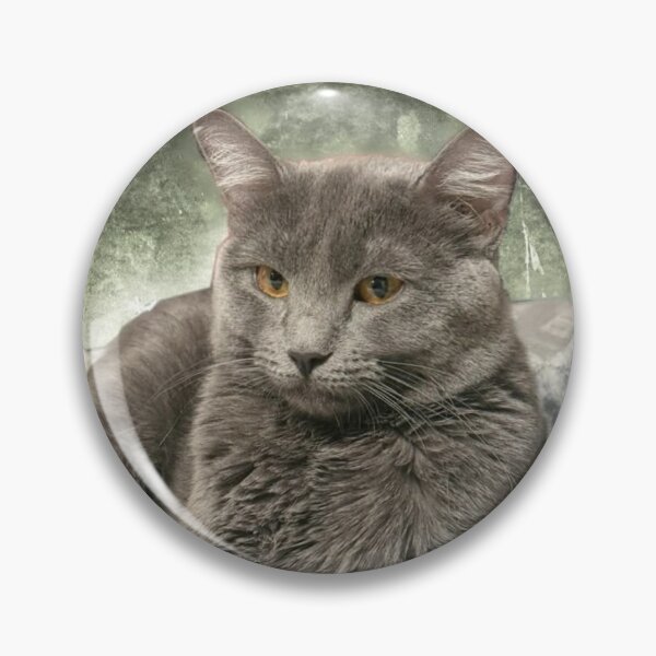 Item preview, Epic Ezra Cat designed and sold by JasonCringe.