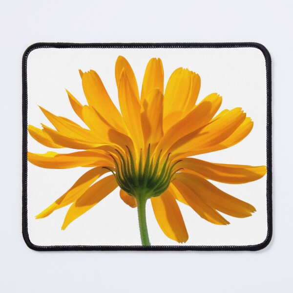 Item preview, Blossom Pattern Design designed and sold by shoppersgallery.