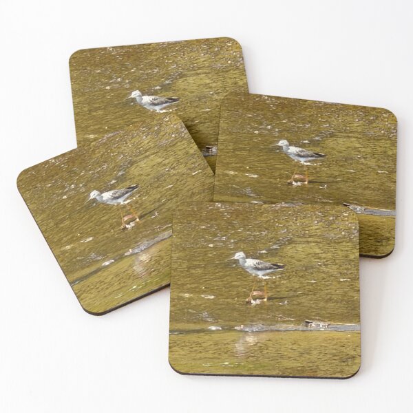 Item preview, Graceful Lesser Yellowlegs in Still Water Habitat. designed and sold by Pearls1.