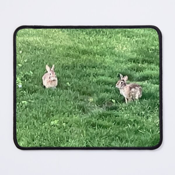 Item preview, Two Wild Bunnies designed and sold by Amanda1775.